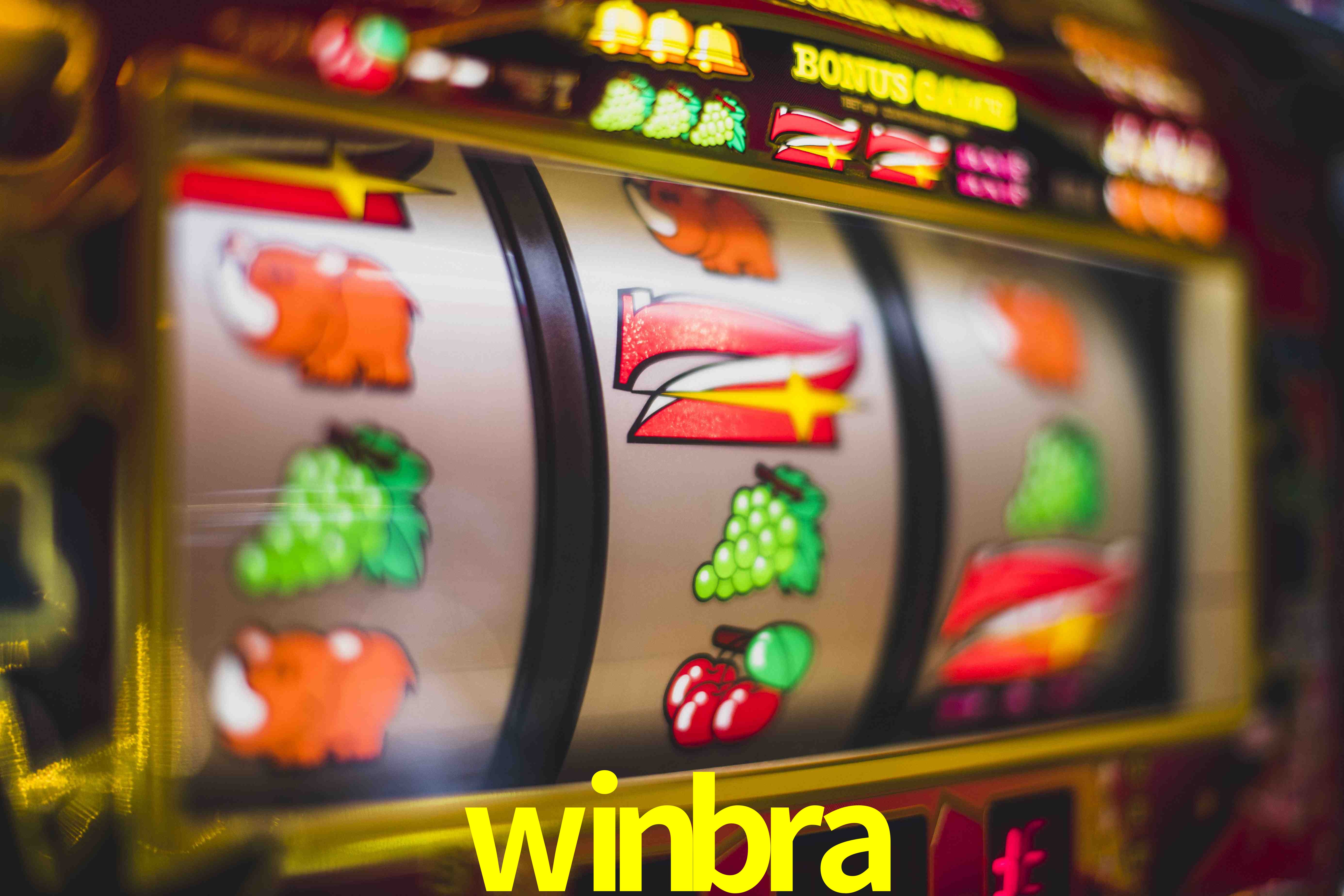 Statistics winbra